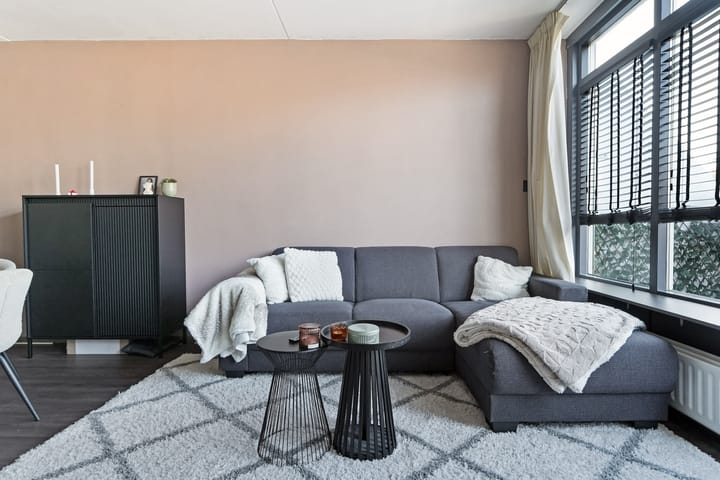 Foto 11 van Kanariesprenk 37