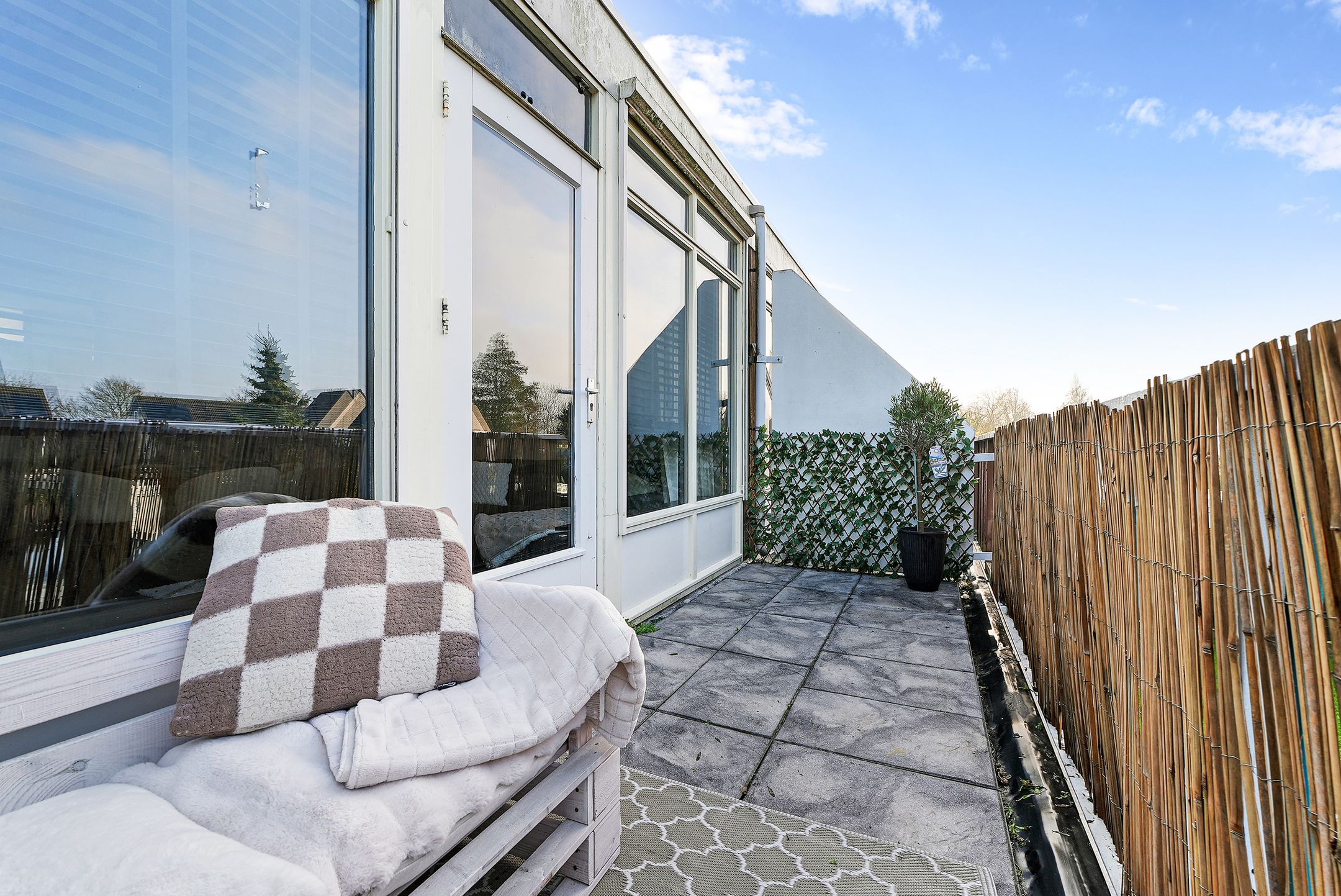 Foto 18 van Kanariesprenk 37