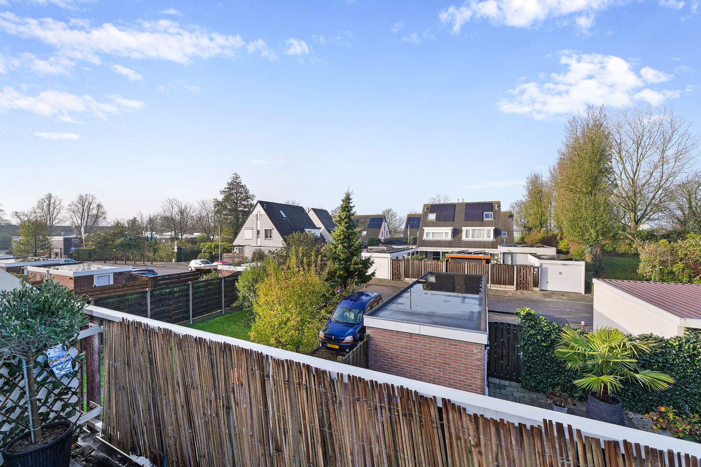 Foto 19 van Kanariesprenk 37