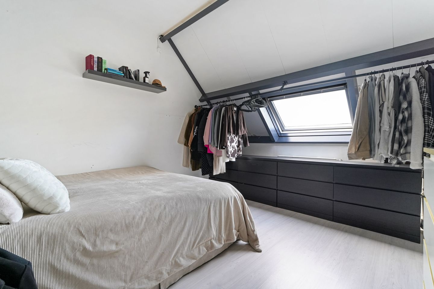 Foto 20 van Kanariesprenk 37