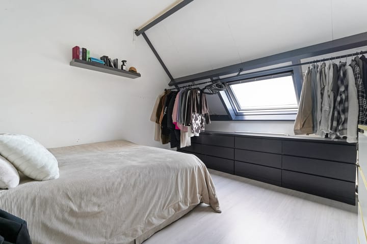 Foto 20 van Kanariesprenk 37