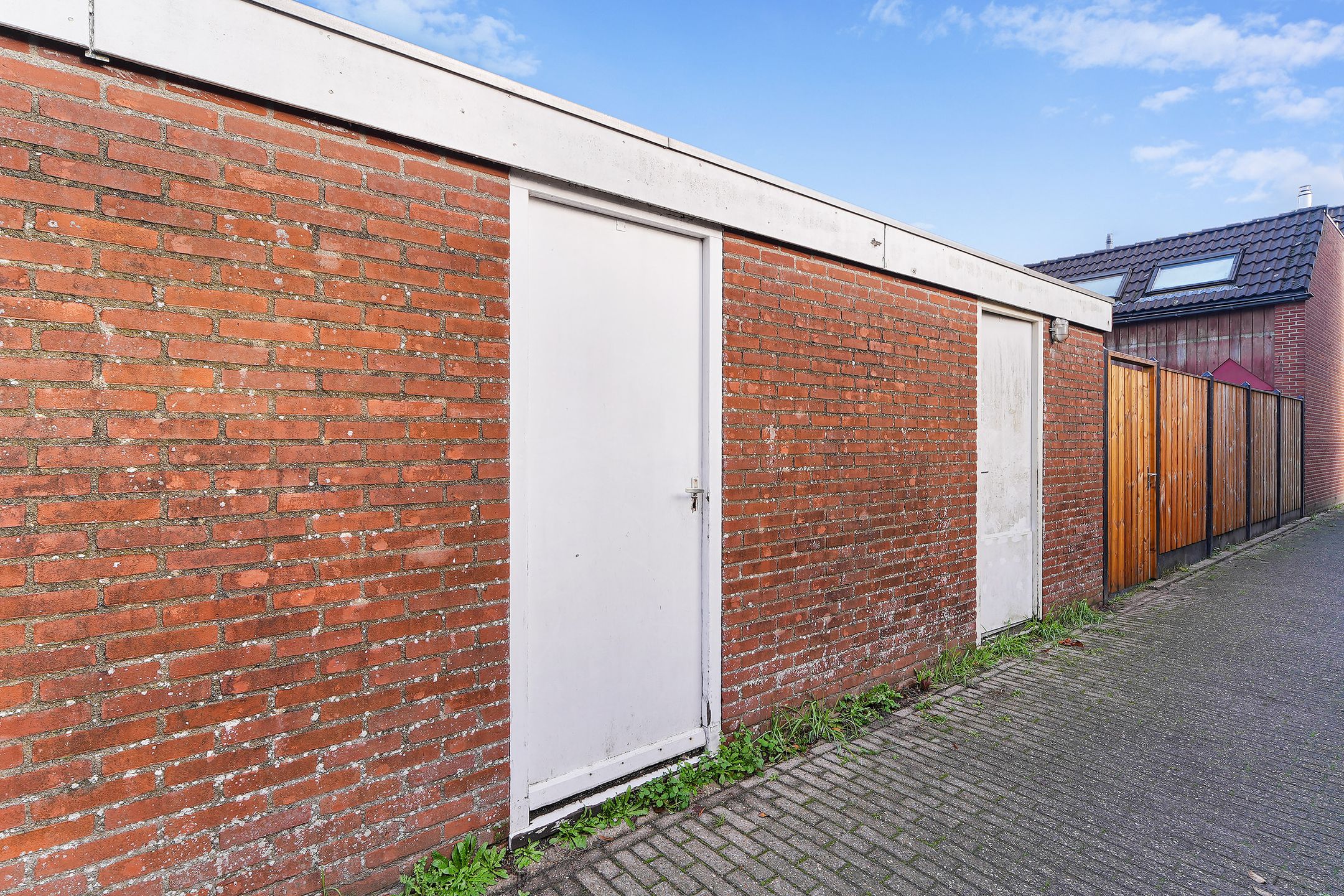 Foto 24 van Kanariesprenk 37