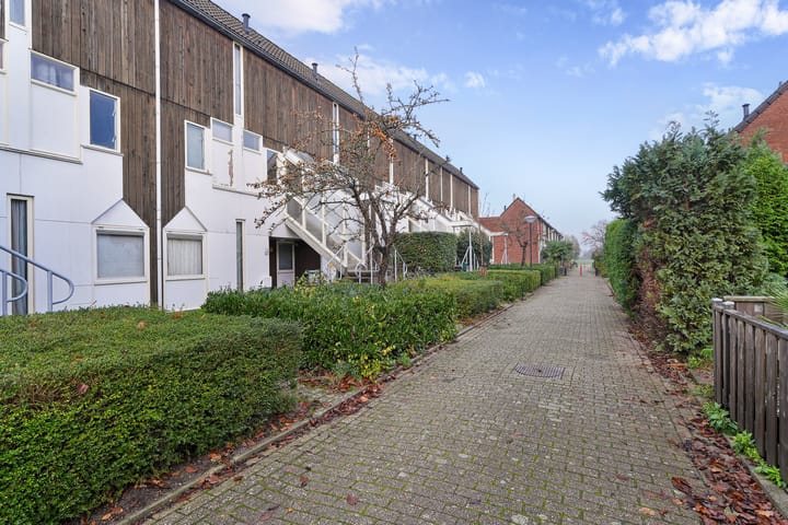 Foto 27 van Kanariesprenk 37