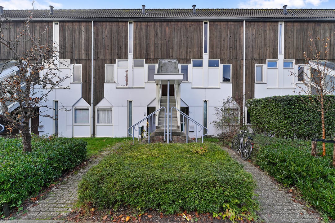 Foto 26 van Kanariesprenk 37