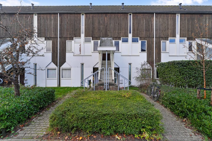 Foto 26 van Kanariesprenk 37