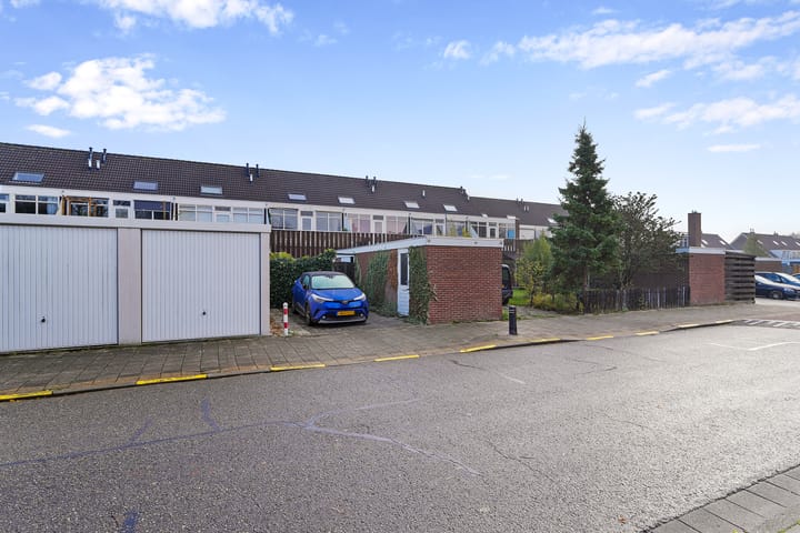 Foto 28 van Kanariesprenk 37