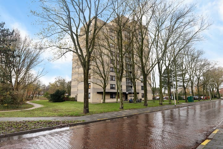 Foto 6 van Piet Heinlaan 87