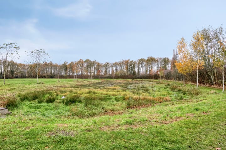 Foto 29 van Veenbos 23