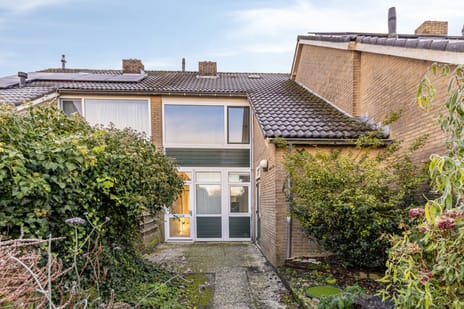 undefined main image