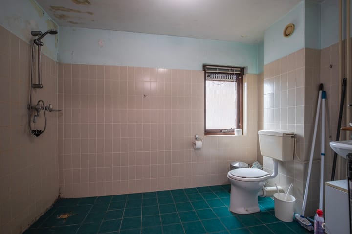 Foto 18 van Koeweide 136