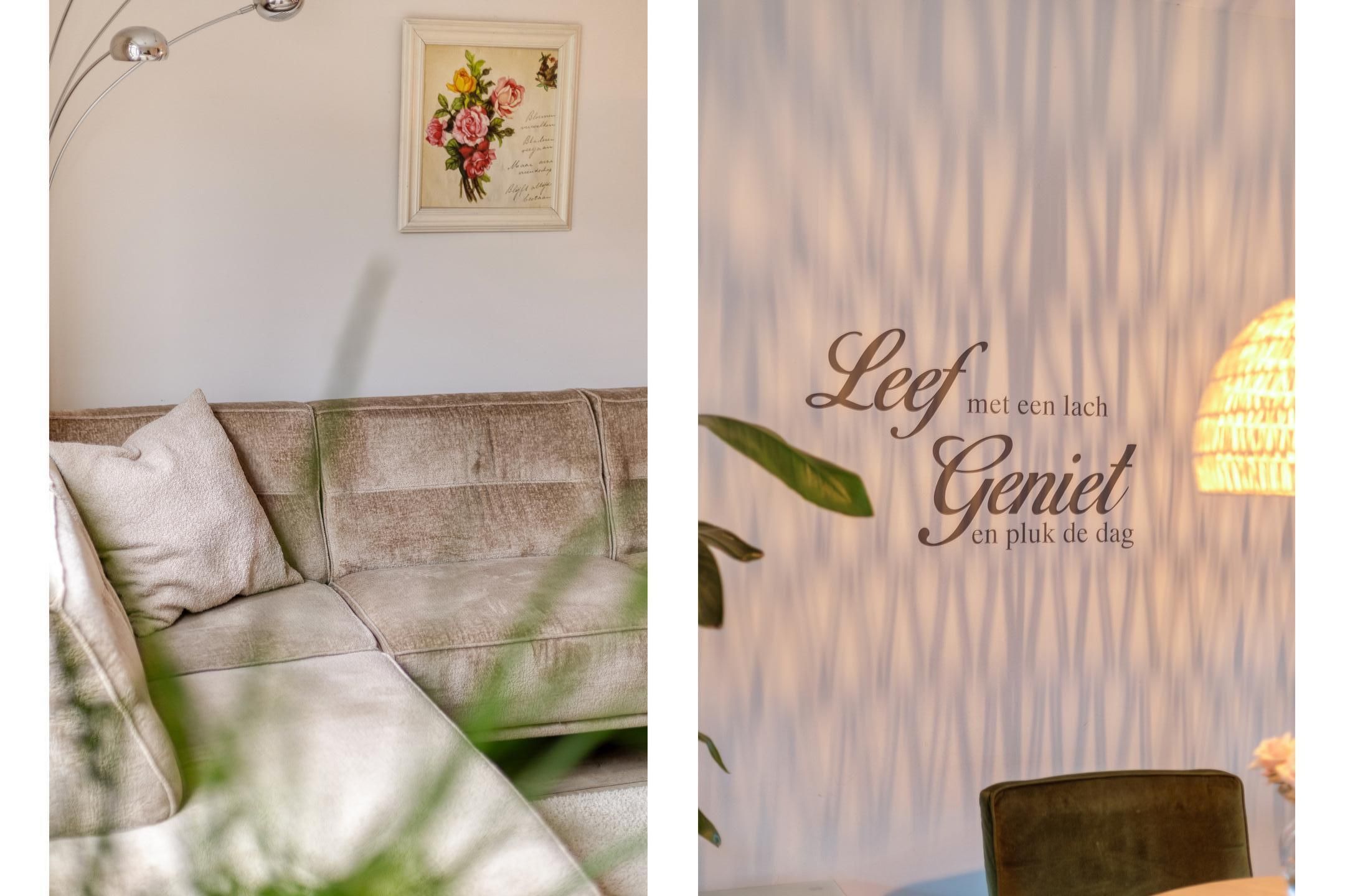 Photo 18 of Somapad 43