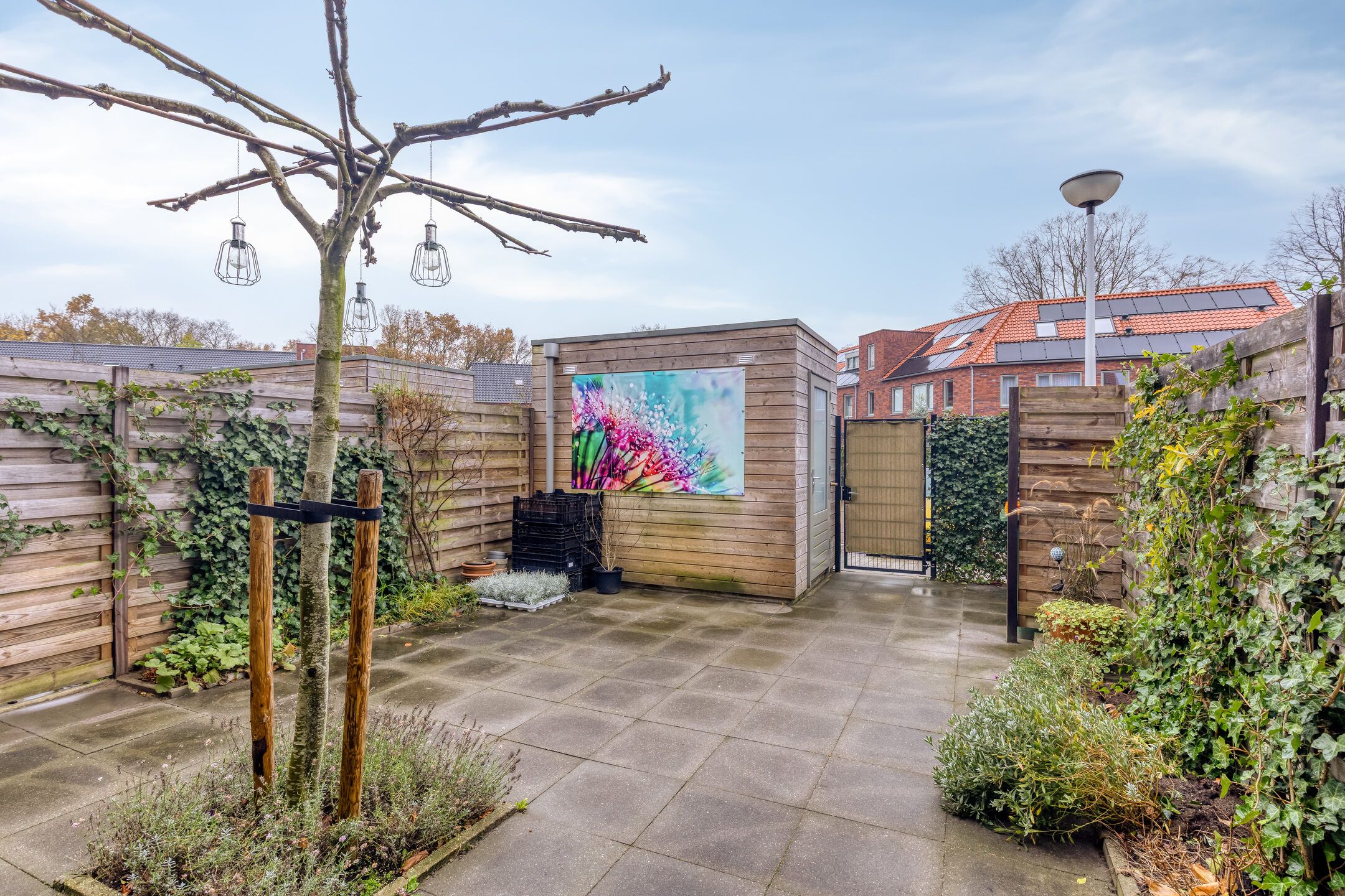 Photo 36 of Somapad 43