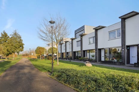 Weegbree 55 secondary image