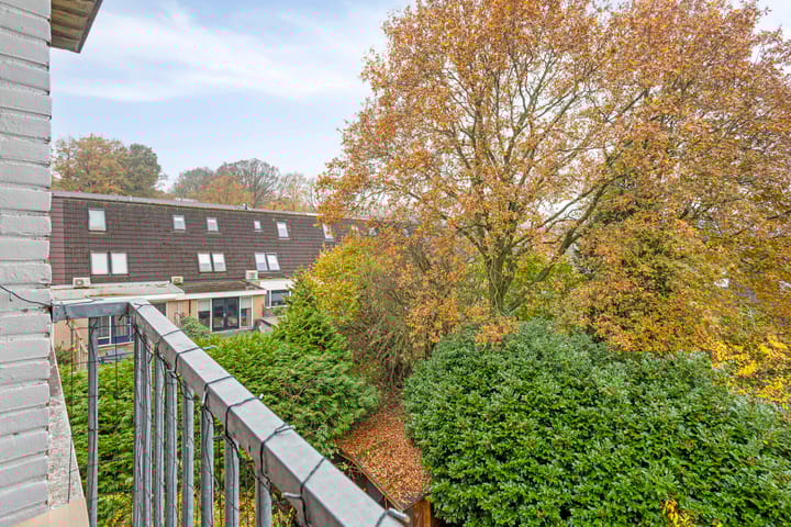 Photo 27 of Europalaan 124