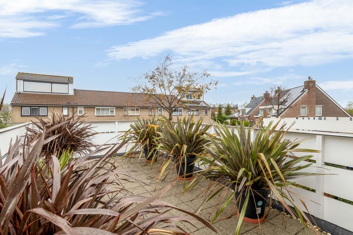 Photo 45 of Nolensstraat 25