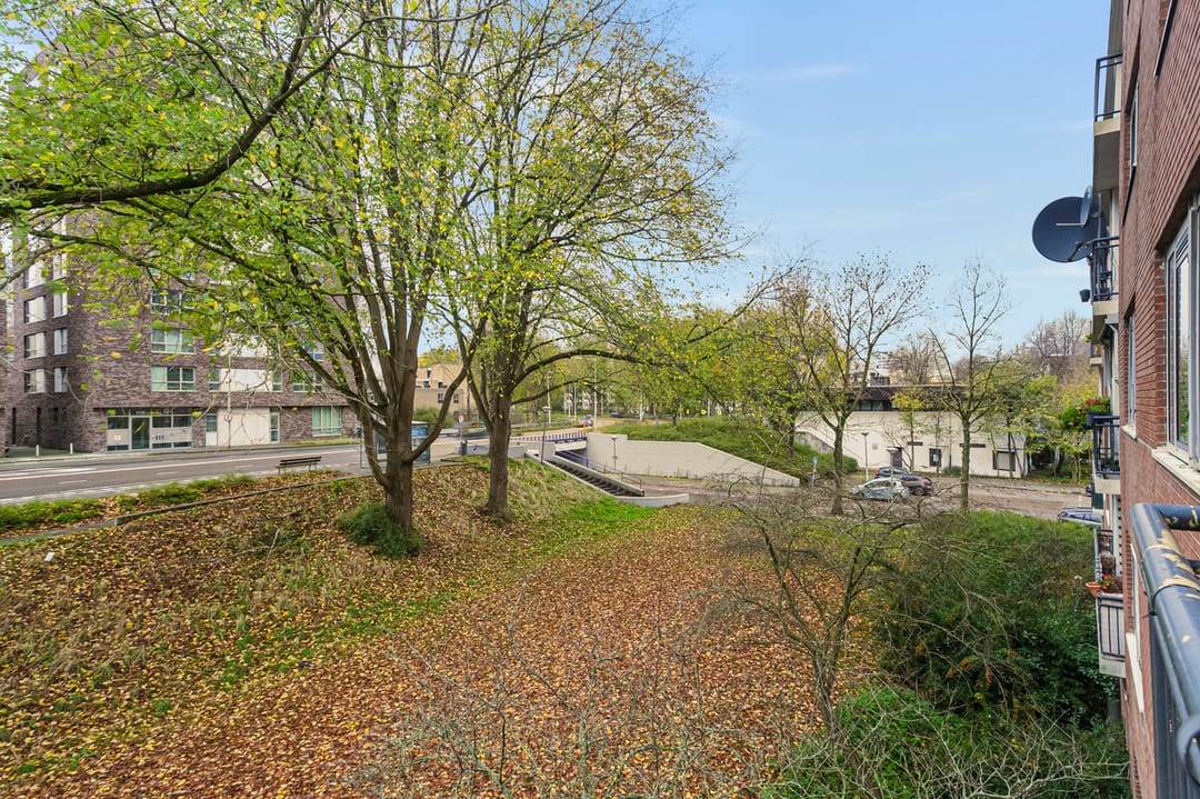 Foto 26 van Savelsbos 22