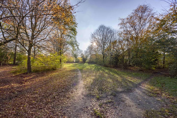 Photo 32 of Utrechtstraat 14