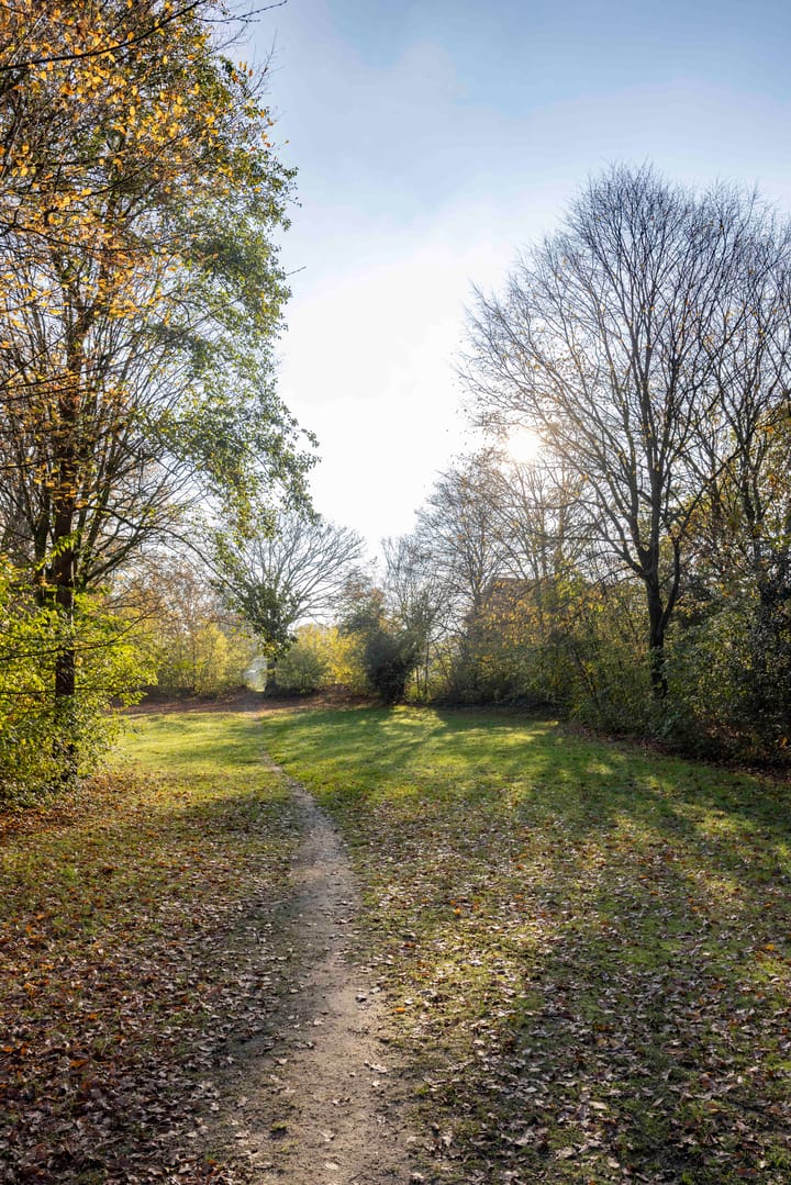 Photo 33 of Utrechtstraat 14