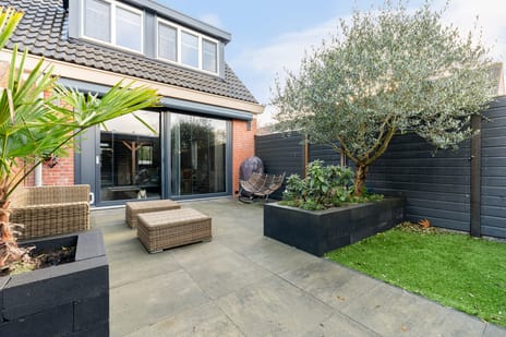 undefined main image