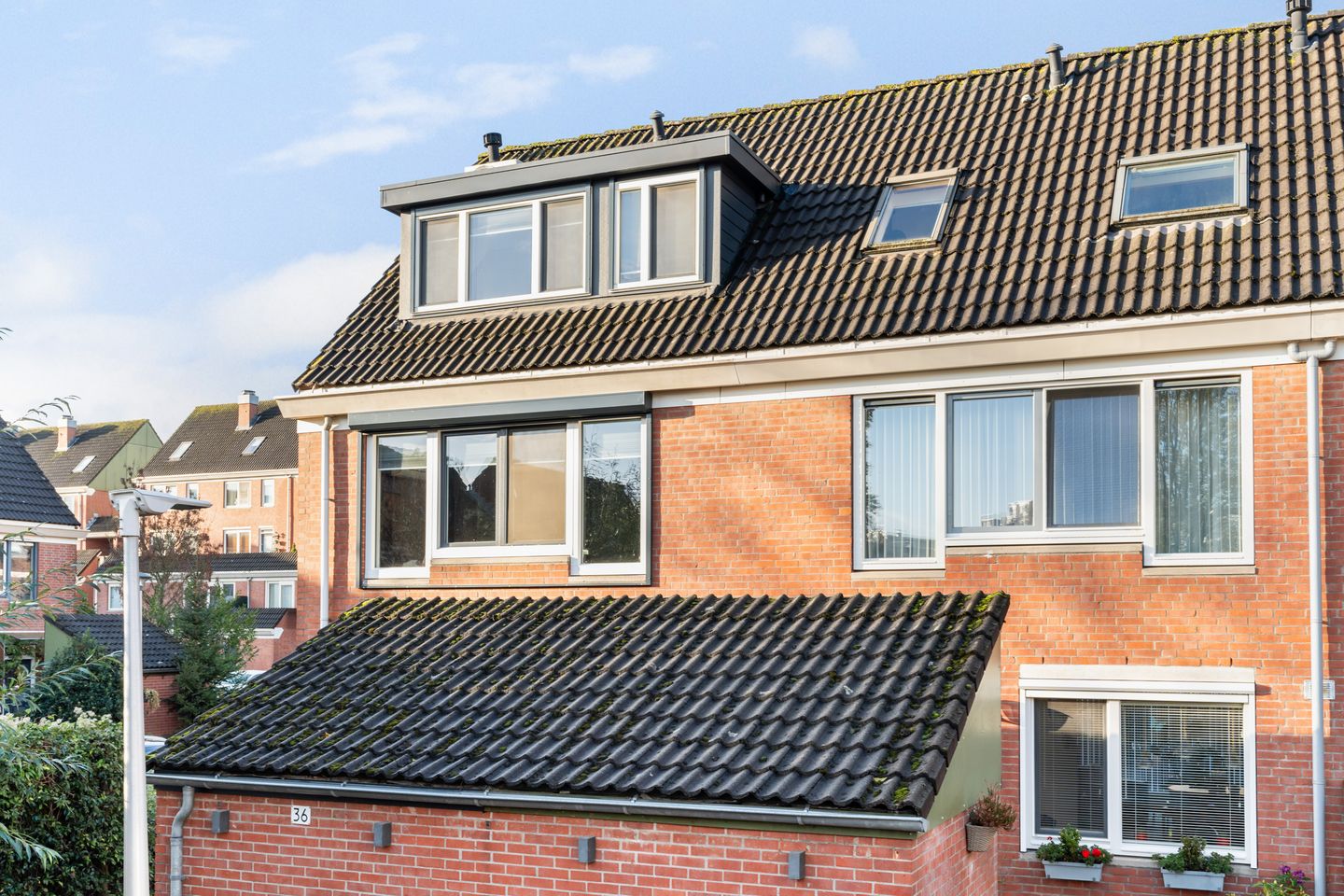 Photo 50 of Waldhoorn 36