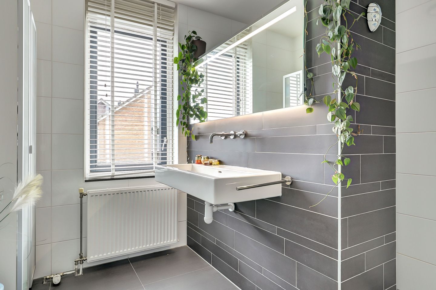 Foto 19 van Notarisappel 30