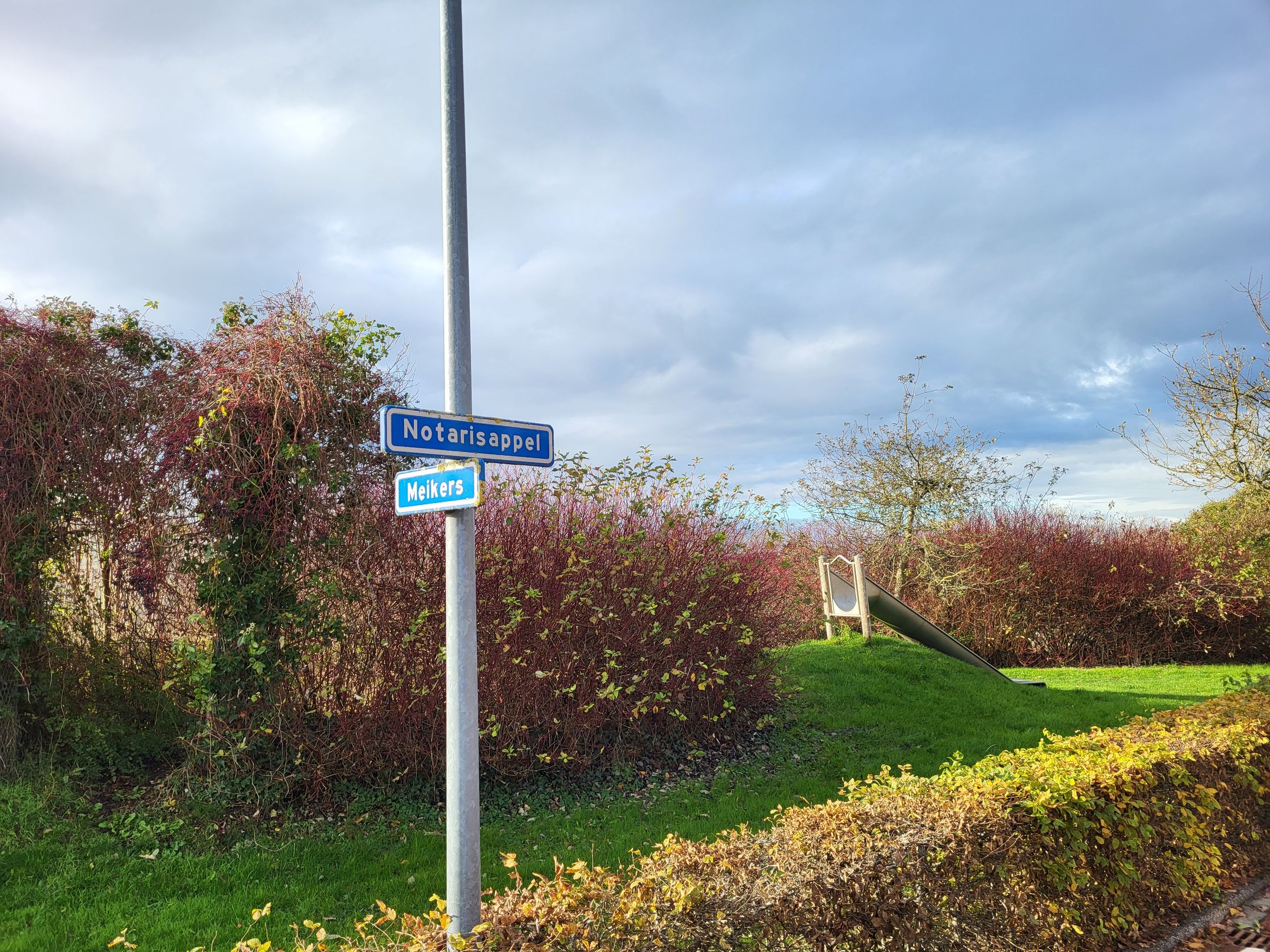 Foto 33 van Notarisappel 30