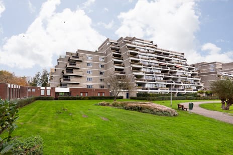 Bartoklaan thumbnail