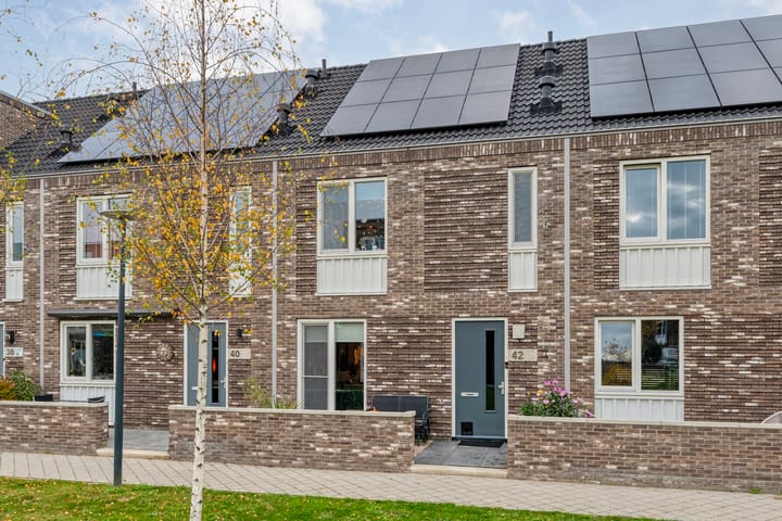 Vincent van Goghstraat 42 main image