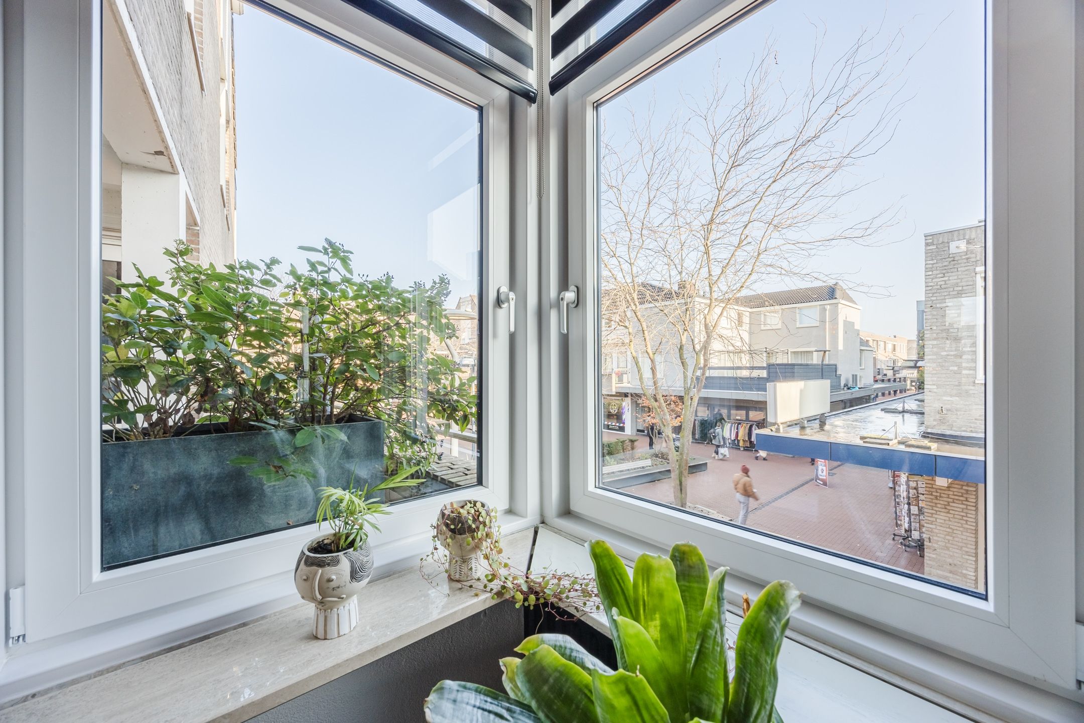 Foto 15 van Molenwieken 6