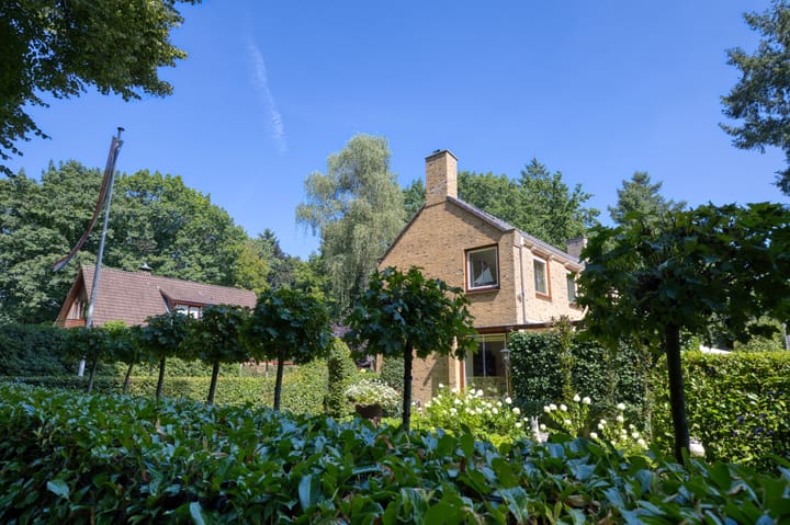 Burg. Roosmale Nepveulaan 15