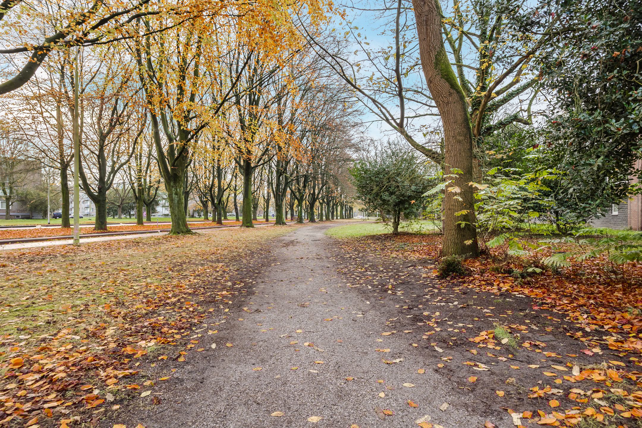 Foto 30 van Azuurweg 216