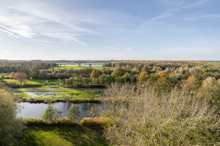 Photo 4 of Boerhaavestraat 321