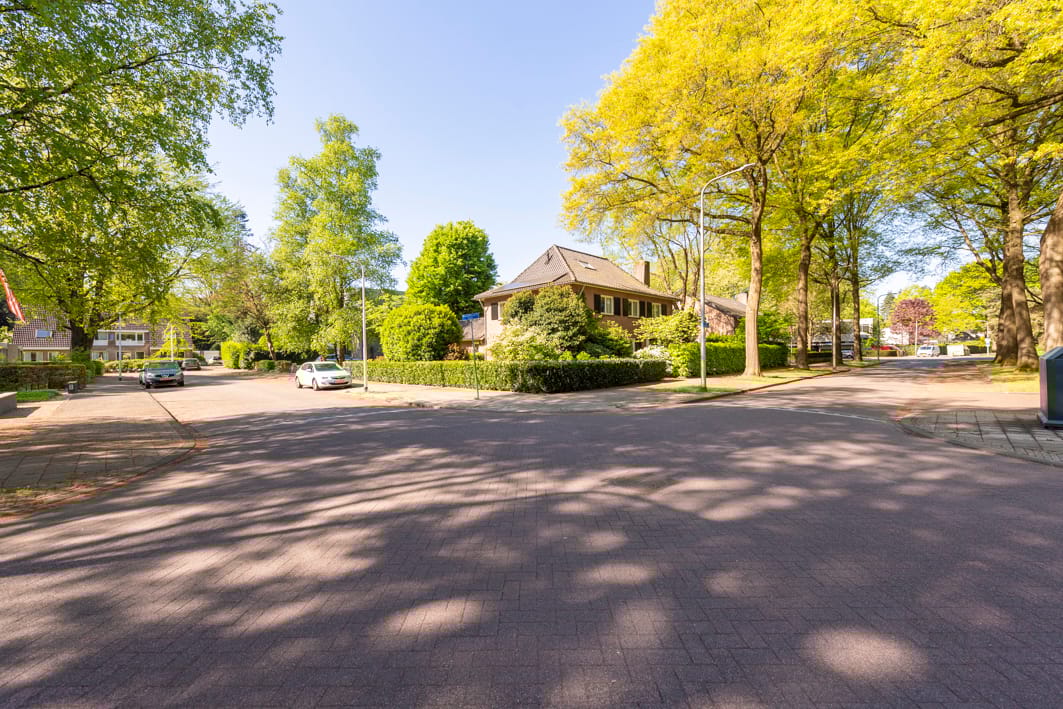 Foto 20 van Kasteel Nijenrodestraat 255