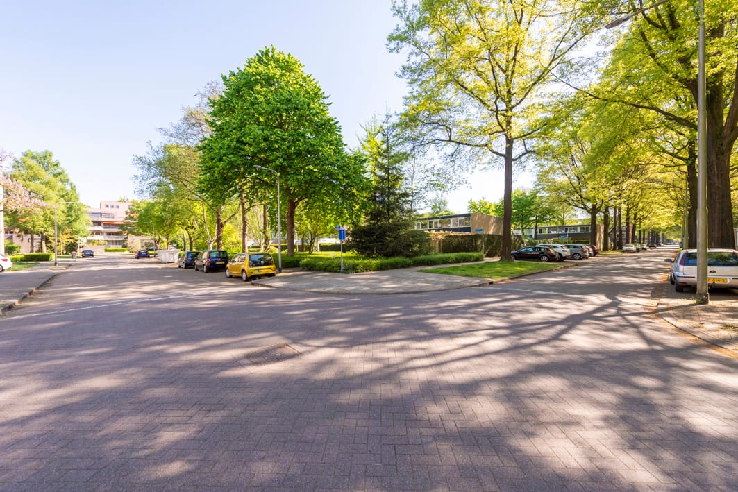 Foto 21 van Kasteel Nijenrodestraat 255