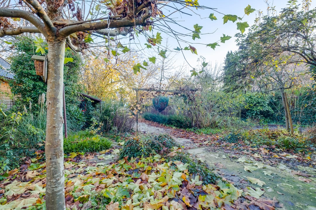 Foto 2 van Koningin Sophiastraat 1