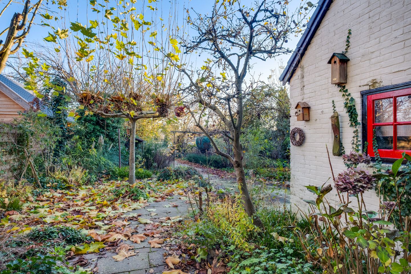 Foto 29 van Koningin Sophiastraat 1