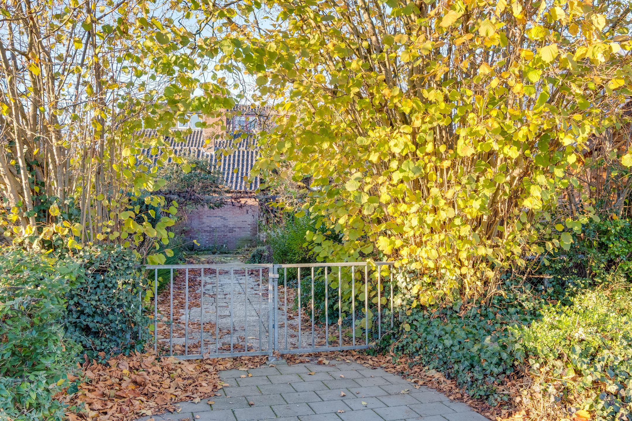 Foto 36 van Koningin Sophiastraat 1