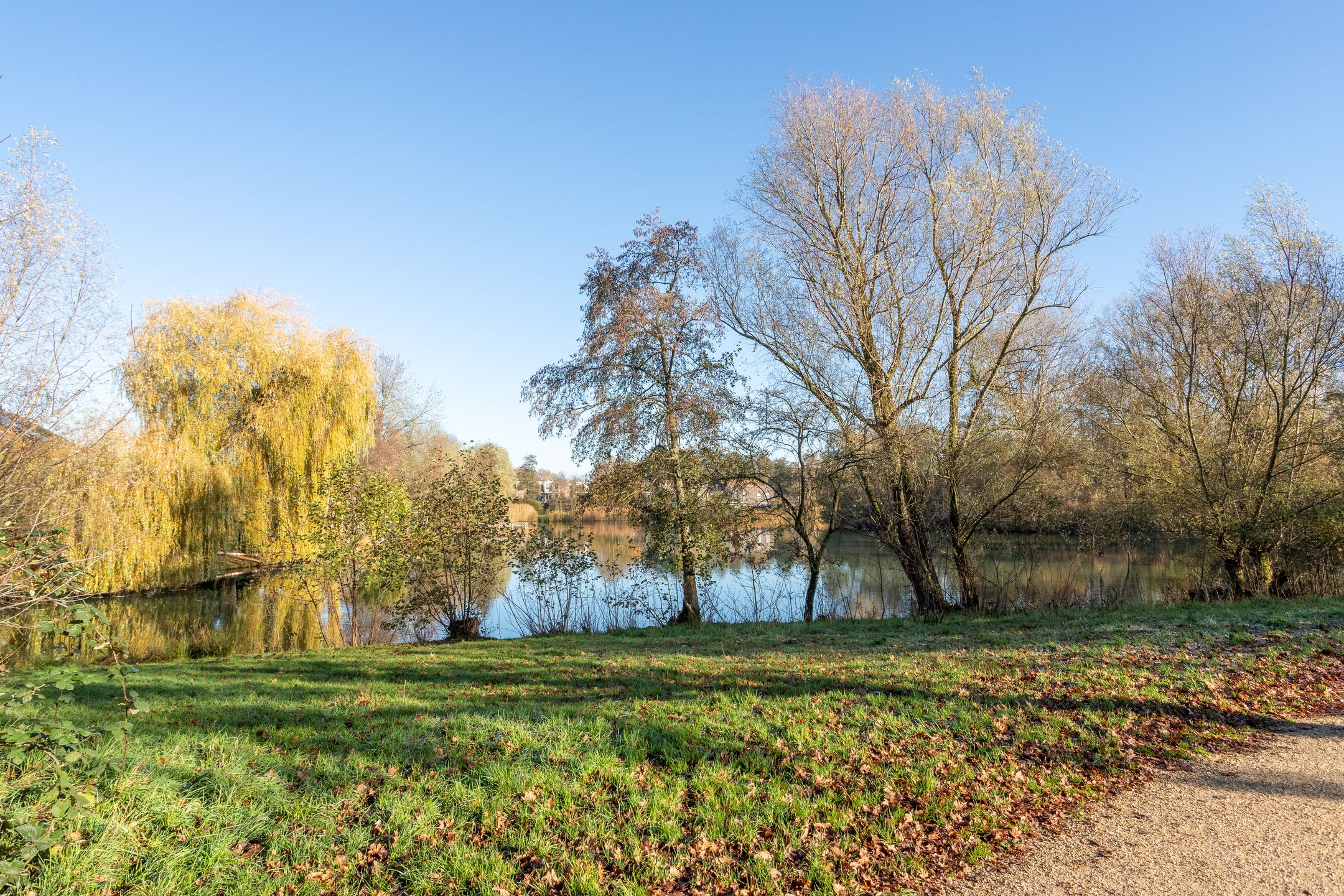 Foto 33 van Bessenweg 55