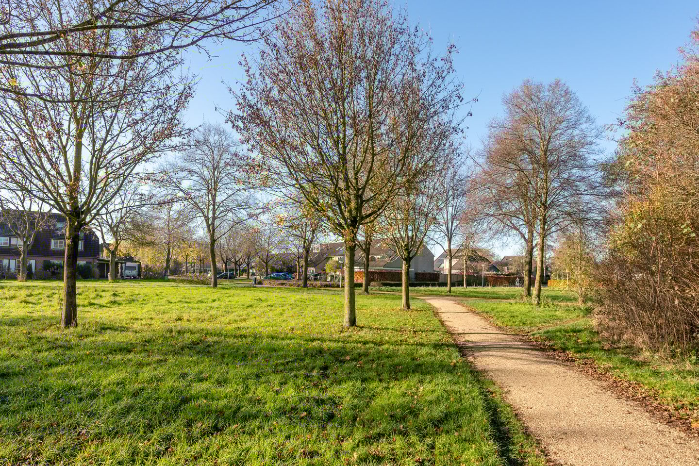 Foto 35 van Bessenweg 55