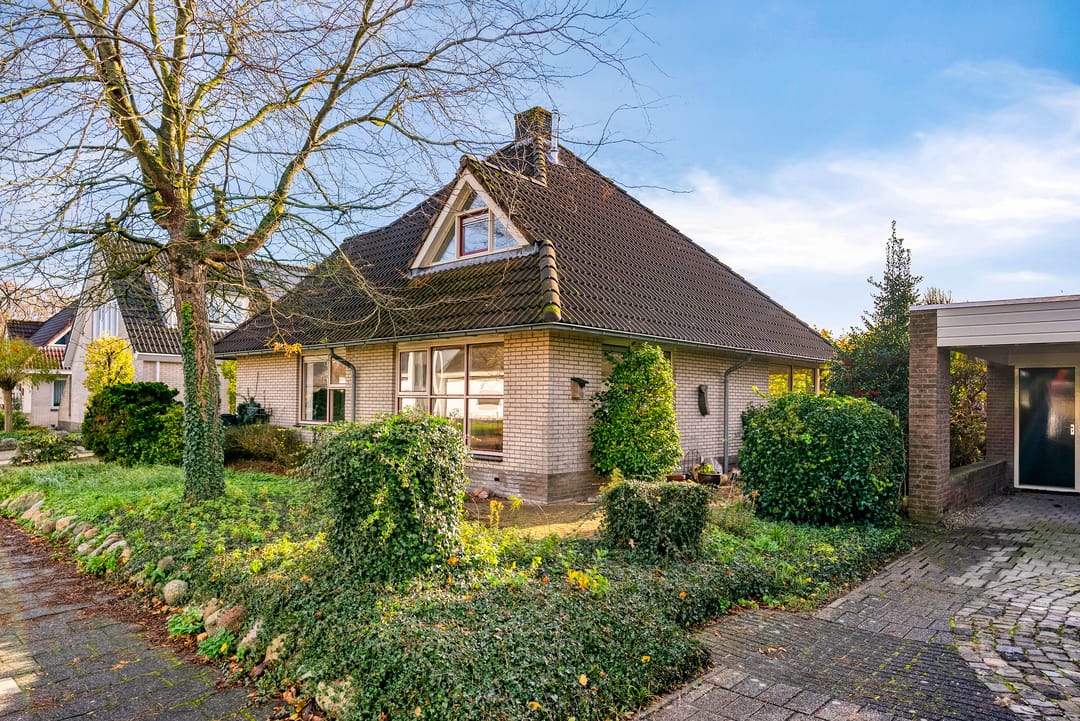 Photo 1 of Korenbloem 30