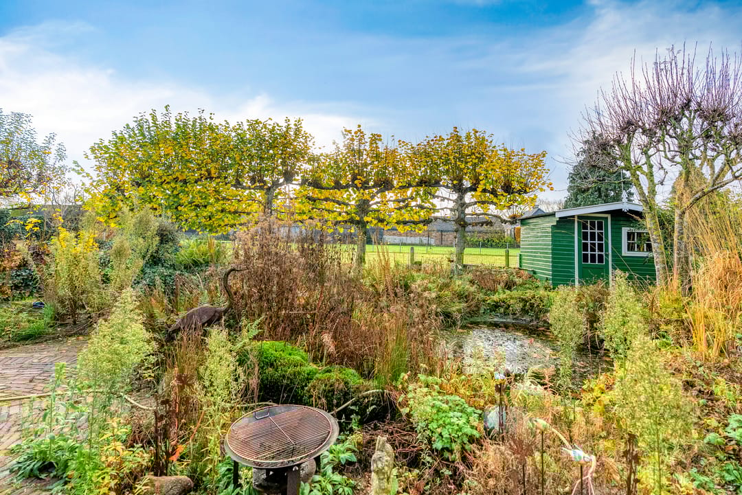 Photo 2 of Korenbloem 30