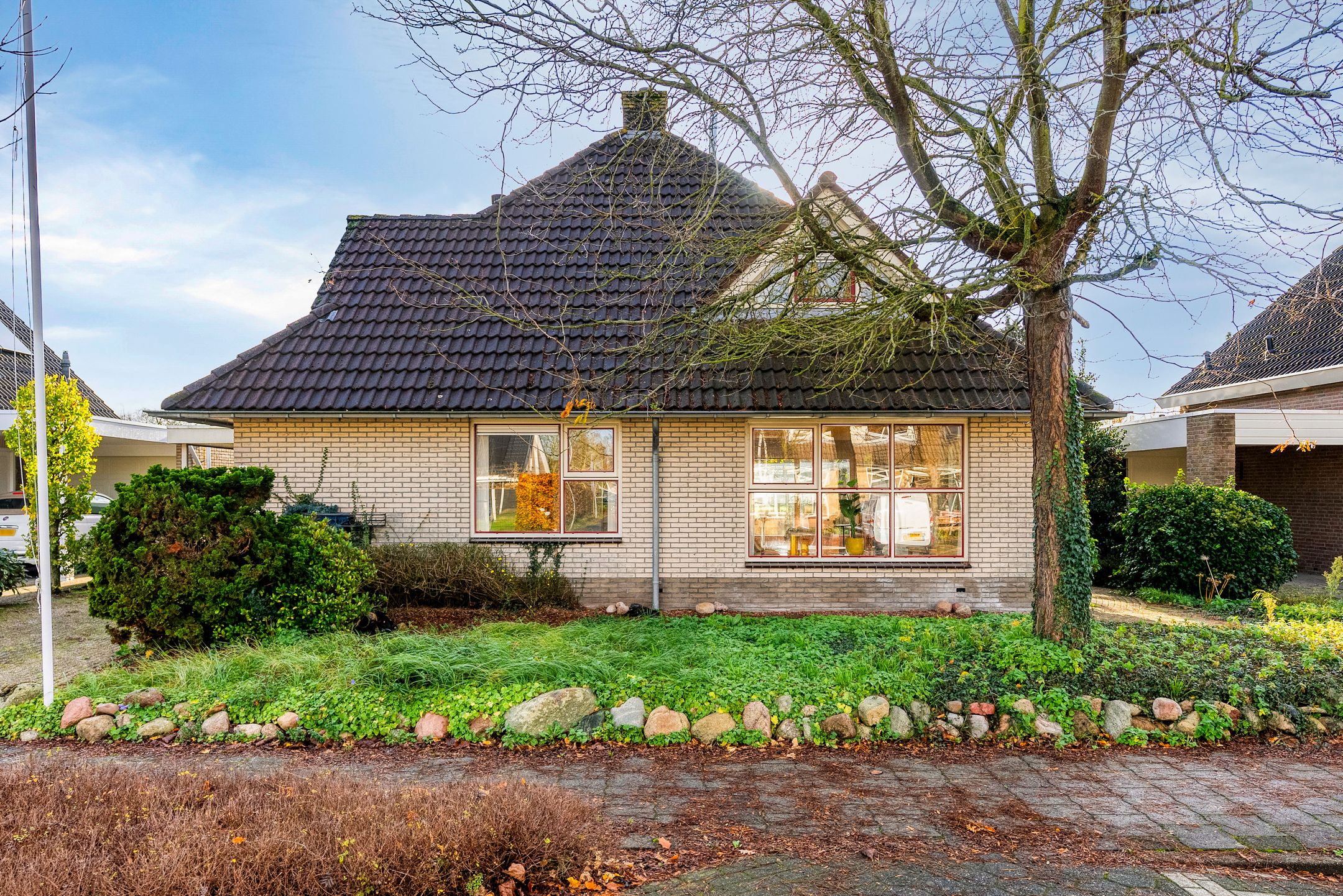 Photo 3 of Korenbloem 30