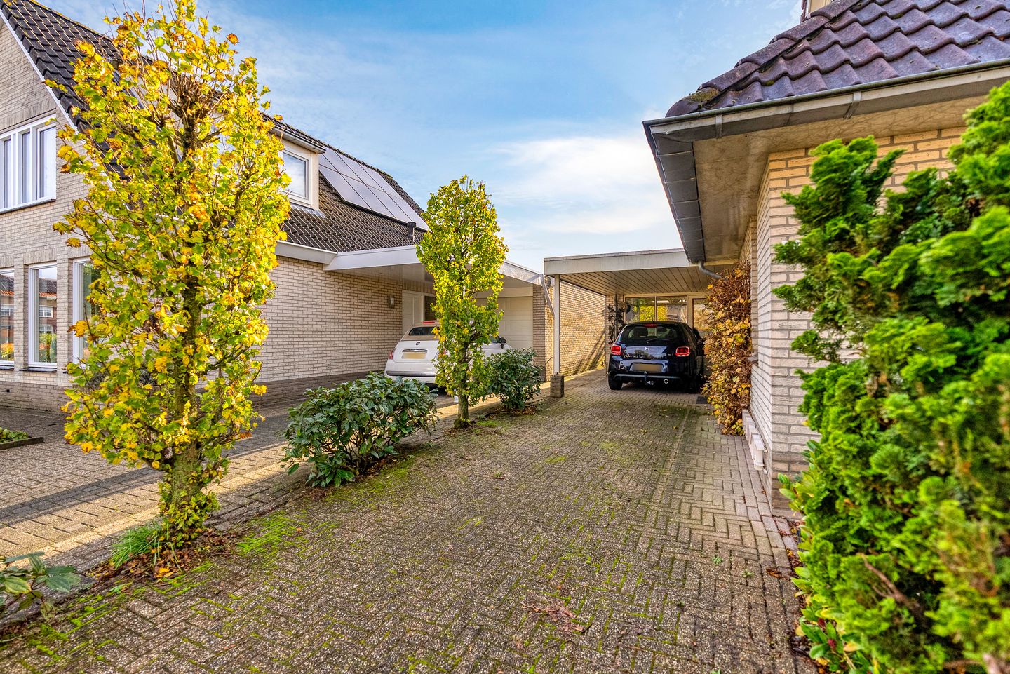 Photo 4 of Korenbloem 30