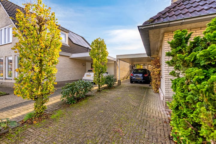 Foto 4 van Korenbloem 30