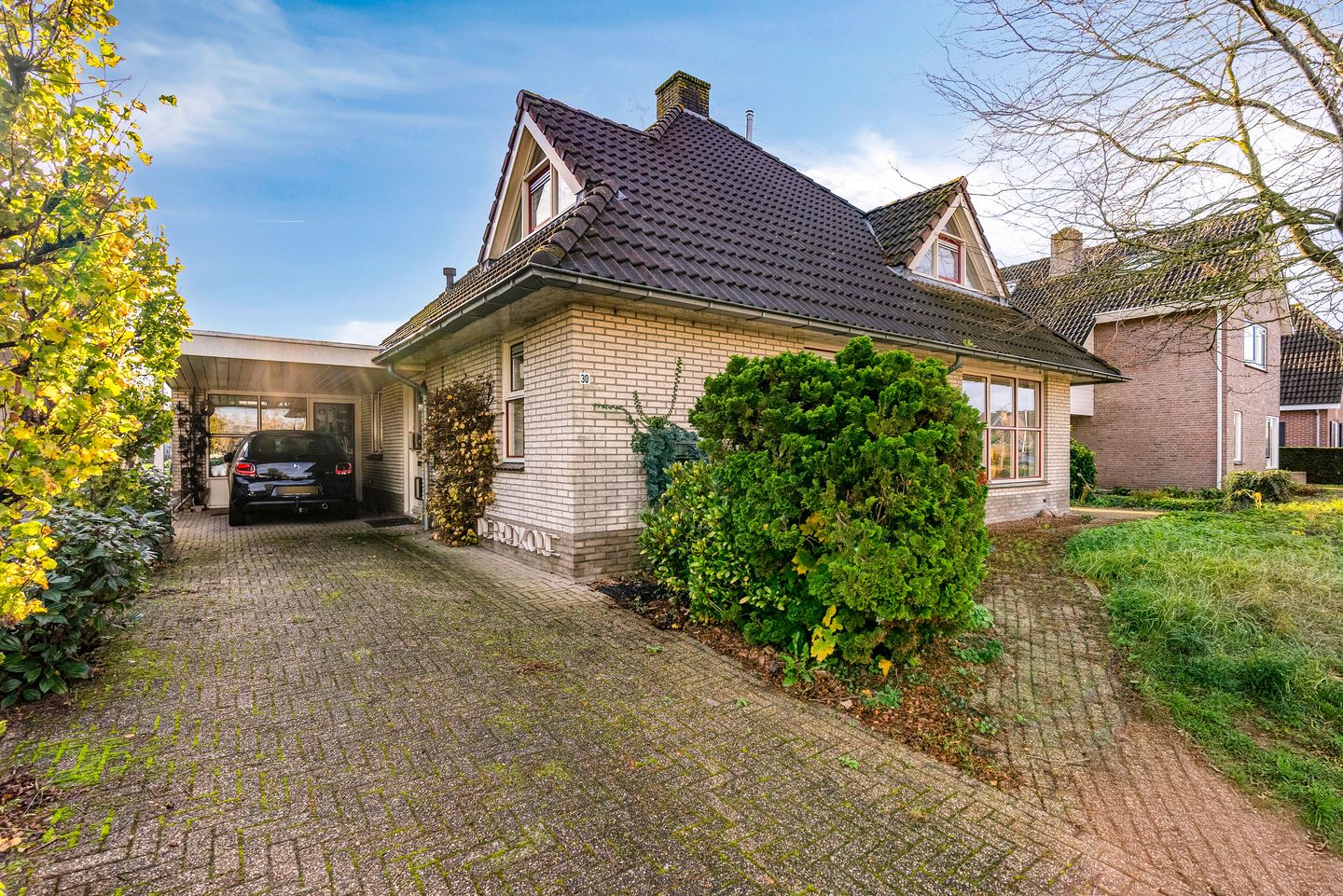 Photo 5 of Korenbloem 30