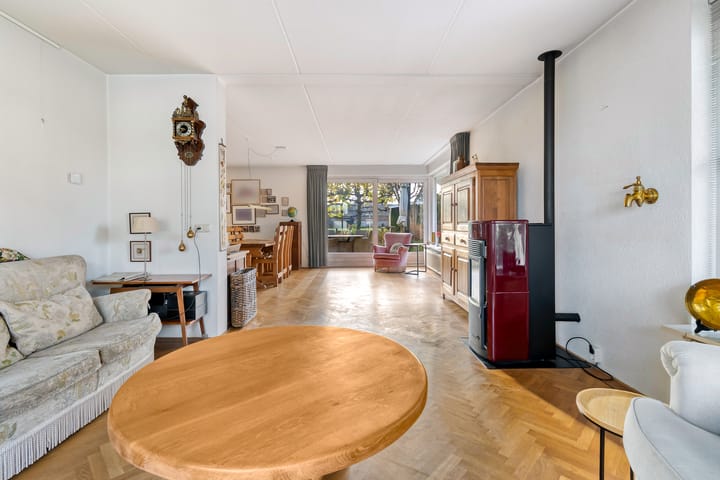 Foto 20 van Korenbloem 30