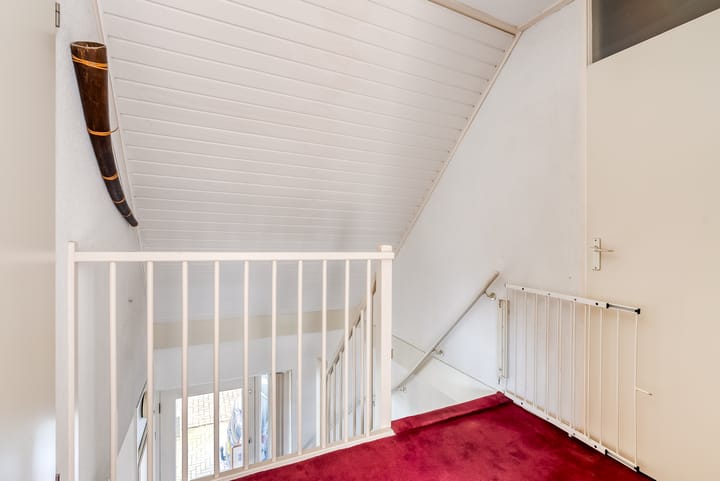 Foto 32 van Korenbloem 30