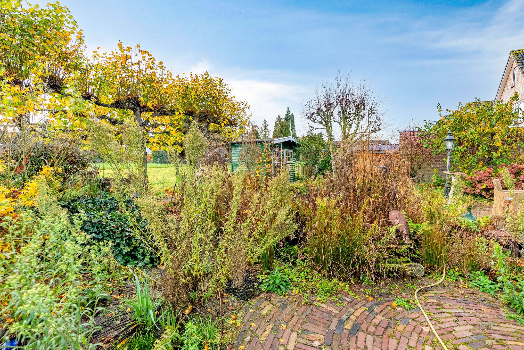 Photo 48 of Korenbloem 30