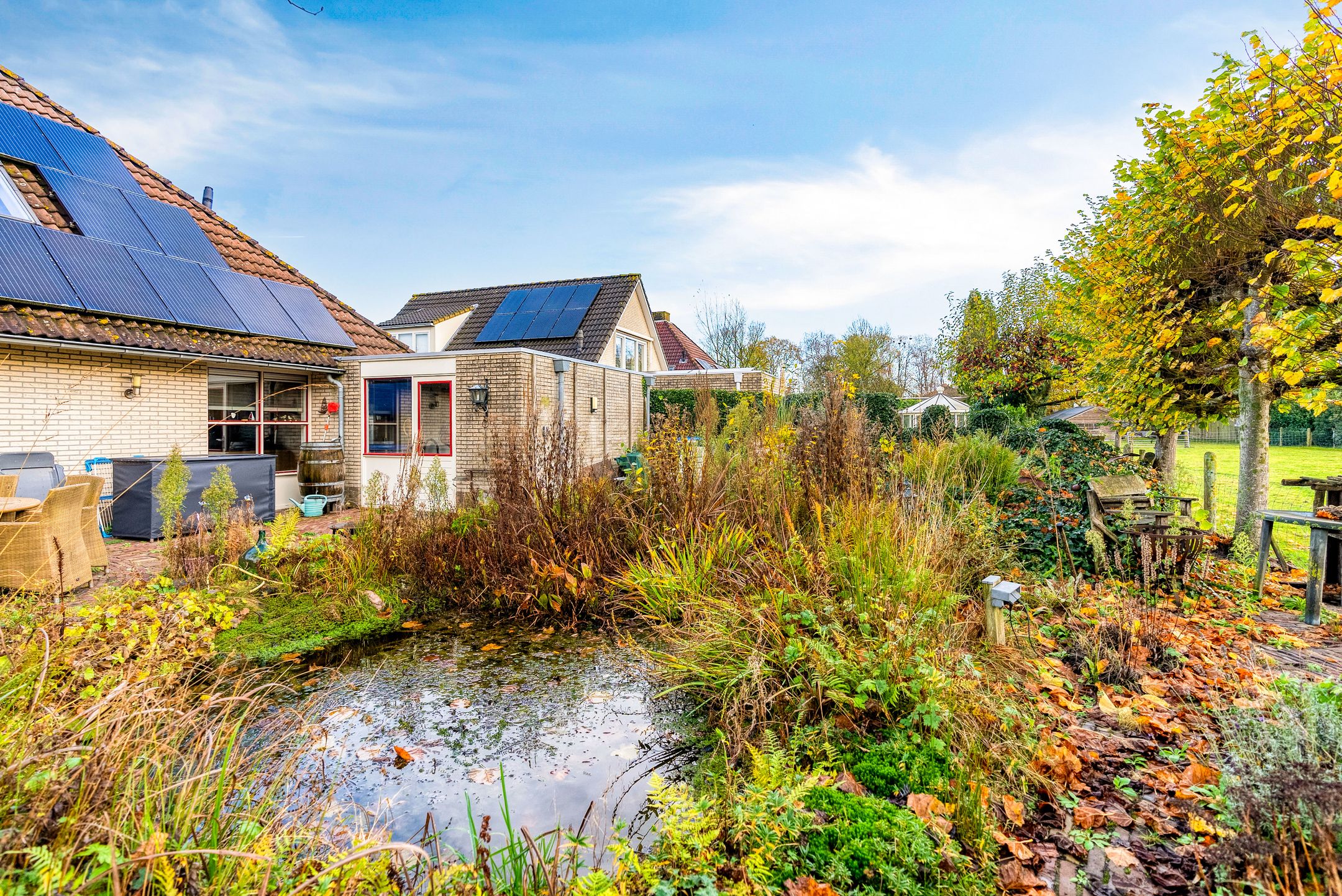 Photo 51 of Korenbloem 30