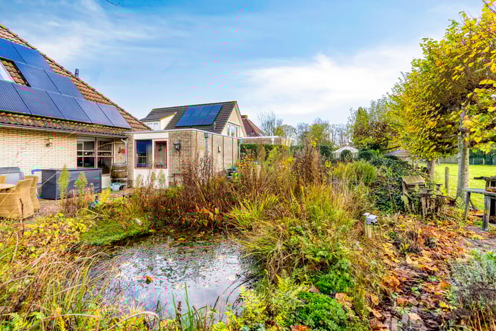 Foto 51 van Korenbloem 30